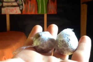 Maconha 2